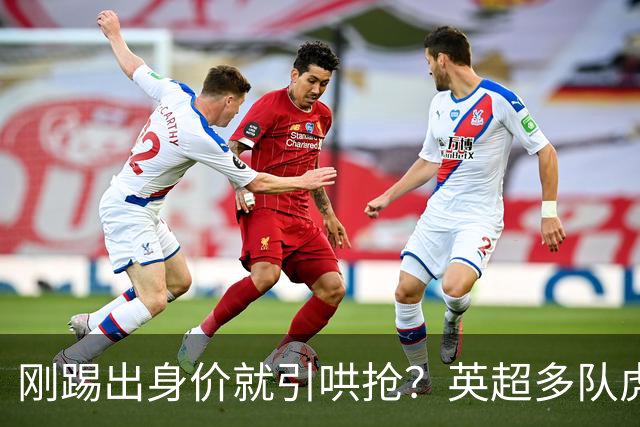 刚踢出身价就引哄抢？英超多队虎视眈眈，阿森纳5200万新援成香饽饽！